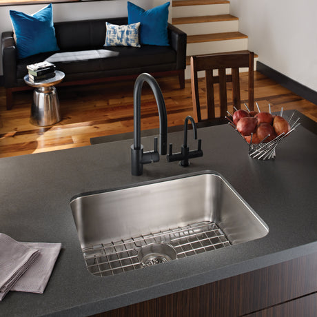 8.75-in Double Handle Hot and Cold Water Filtration Faucet in Industrial Black