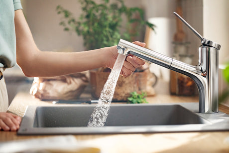 Zesis  Kitchen Faucet 2-Spray, Pull-Out, 1.75 GPM in Chrome