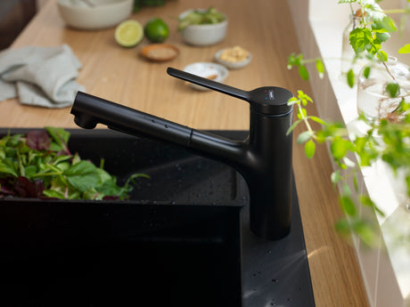 Zesis  Kitchen Faucet 2-Spray, Pull-Out, 1.75 GPM in Matte Black