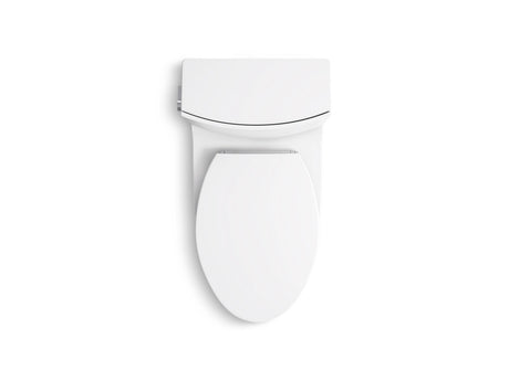 One-piece elongated toilet with skirted trapway, dual-flush