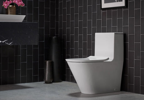 One-piece compact elongated toilet with skirted trapway, dual-flush