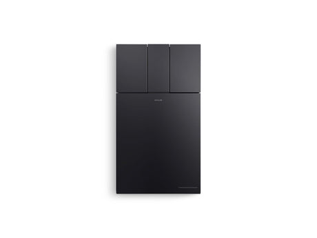 One-piece elongated smart toilet, dual-flush