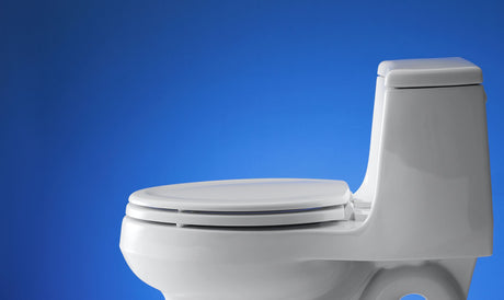 Elongated toilet seat