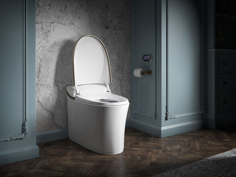 One-piece elongated smart toilet, dual-flush