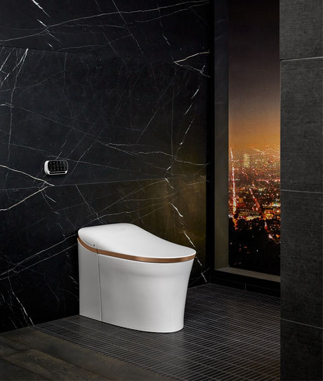 One-piece elongated smart toilet, dual-flush